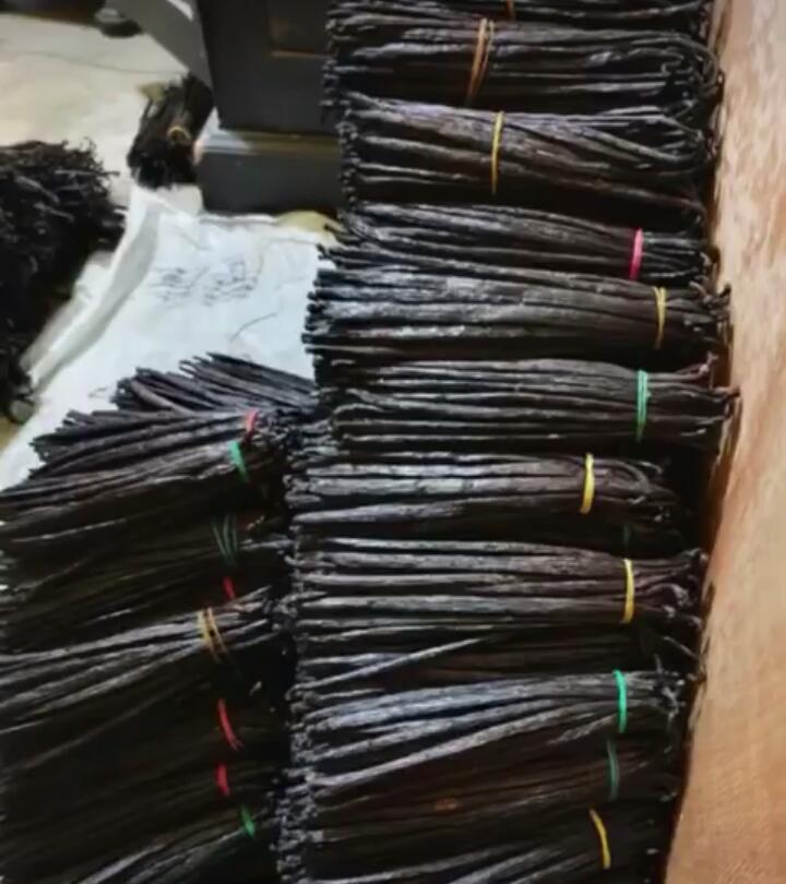 zo-th-1